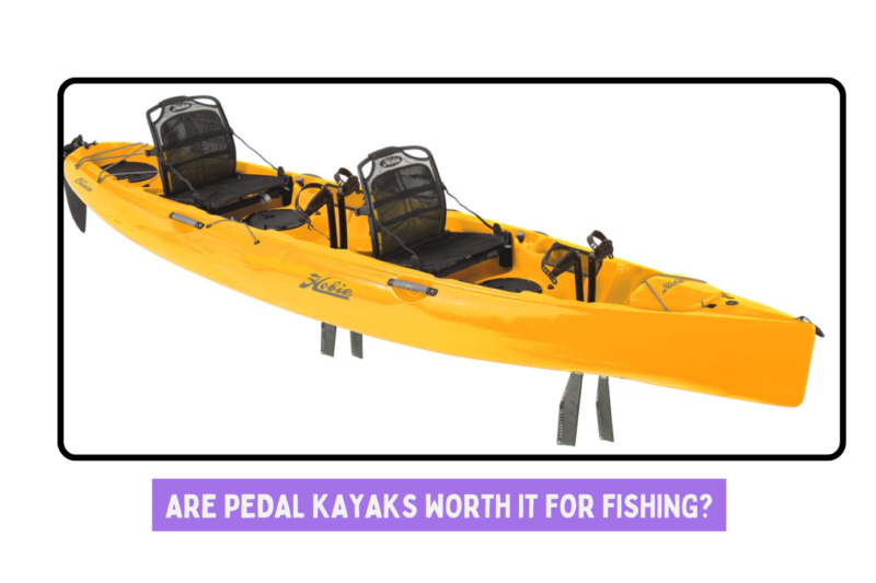 Are Pedal Kayaks Worth It for Fishing?